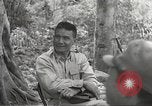 Image of Japanese occupation of Philippines Philippines, 1942, second 19 stock footage video 65675062376