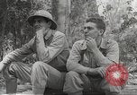 Image of Japanese occupation of Philippines Philippines, 1942, second 21 stock footage video 65675062376