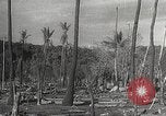 Immagine di Giapponesi alla base navale di Mariveles Bataan Luzon Filippine, 1942, secondo 62 filmato di repertorio 65675062377