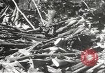 Standbild Amerikanische Rüstungsgüter die durch japanische in Philippinen Philippinen, 1942, aus Sekunde 60 historischem Filmmaterial Videoclip 65675062378