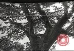 Image poste d'observation japonais Corregidor Island Philippines, 1942, de la seconde 1 séquences d'archives historiques vidéo 65675062379