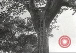 Image poste d'observation japonais Corregidor Island Philippines, 1942, de la seconde 5 séquences d'archives historiques vidéo 65675062379