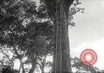Image poste d'observation japonais Corregidor Island Philippines, 1942, de la seconde 7 séquences d'archives historiques vidéo 65675062379
