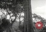 Image poste d'observation japonais Corregidor Island Philippines, 1942, de la seconde 9 séquences d'archives historiques vidéo 65675062379