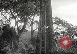 Image poste d'observation japonais Corregidor Island Philippines, 1942, de la seconde 10 séquences d'archives historiques vidéo 65675062379