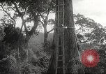 Image poste d'observation japonais Corregidor Island Philippines, 1942, de la seconde 11 séquences d'archives historiques vidéo 65675062379
