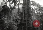 Image poste d'observation japonais Corregidor Island Philippines, 1942, de la seconde 12 séquences d'archives historiques vidéo 65675062379