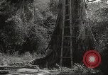 Image poste d'observation japonais Corregidor Island Philippines, 1942, de la seconde 14 séquences d'archives historiques vidéo 65675062379