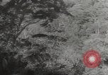 Image poste d'observation japonais Corregidor Island Philippines, 1942, de la seconde 27 séquences d'archives historiques vidéo 65675062379