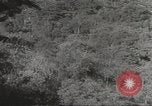 Image poste d'observation japonais Corregidor Island Philippines, 1942, de la seconde 28 séquences d'archives historiques vidéo 65675062379