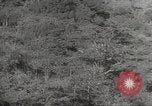 Image poste d'observation japonais Corregidor Island Philippines, 1942, de la seconde 29 séquences d'archives historiques vidéo 65675062379
