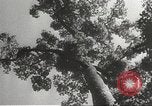 Image of Japanese soldiers Philippines, 1942, second 17 stock footage video 65675062382