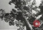 Image of Japanese soldiers Philippines, 1942, second 21 stock footage video 65675062382