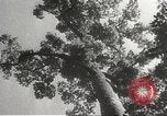 Image of Japanese soldiers Philippines, 1942, second 22 stock footage video 65675062382