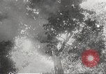 Image of Japanese soldiers Philippines, 1942, second 25 stock footage video 65675062382