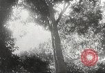 Image of Japanese soldiers Philippines, 1942, second 26 stock footage video 65675062382