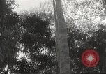 Image of Japanese soldiers Philippines, 1942, second 27 stock footage video 65675062382
