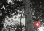 Image of Japanese soldiers Philippines, 1942, second 28 stock footage video 65675062382