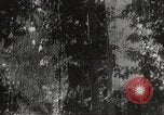 Image of Japanese soldiers Philippines, 1942, second 30 stock footage video 65675062382