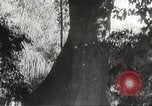 Image of Japanese soldiers Philippines, 1942, second 31 stock footage video 65675062382