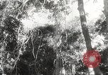 Image of Japanese soldiers Philippines, 1942, second 42 stock footage video 65675062382