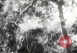 Image of Japanese soldiers Philippines, 1942, second 43 stock footage video 65675062382