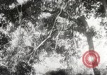 Image of Japanese soldiers Philippines, 1942, second 45 stock footage video 65675062382