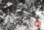 Image of Japanese soldiers Philippines, 1942, second 46 stock footage video 65675062382