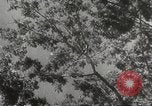 Image of Japanese soldiers Philippines, 1942, second 48 stock footage video 65675062382