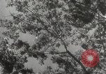 Image of Japanese soldiers Philippines, 1942, second 49 stock footage video 65675062382