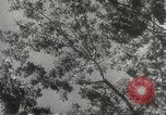 Image of Japanese soldiers Philippines, 1942, second 50 stock footage video 65675062382