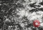 Image of Prince Morihiro Higashi-Kuni Philippines, 1942, second 25 stock footage video 65675062383