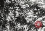Image of Prince Morihiro Higashi-Kuni Philippines, 1942, second 27 stock footage video 65675062383