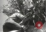 Image of Prince Morihiro Higashi-Kuni Philippines, 1942, second 50 stock footage video 65675062383