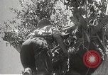 Image of Prince Morihiro Higashi-Kuni Philippines, 1942, second 51 stock footage video 65675062383
