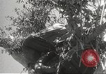 Image of Prince Morihiro Higashi-Kuni Philippines, 1942, second 53 stock footage video 65675062383