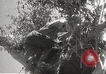 Image of Prince Morihiro Higashi-Kuni Philippines, 1942, second 54 stock footage video 65675062383