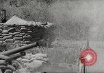 Image of Japanese veterinarian Philippines, 1942, second 7 stock footage video 65675062385