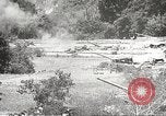 Image of Japanese veterinarian Philippines, 1942, second 14 stock footage video 65675062385