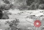 Image of Japanese veterinarian Philippines, 1942, second 15 stock footage video 65675062385