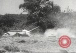 Image of Japanese veterinarian Philippines, 1942, second 16 stock footage video 65675062385