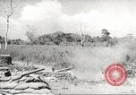 Image of Japanese veterinarian Philippines, 1942, second 17 stock footage video 65675062385
