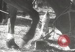 Image of Japanese veterinarian Philippines, 1942, second 18 stock footage video 65675062385