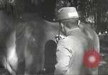 Image of Japanese veterinarian Philippines, 1942, second 33 stock footage video 65675062385