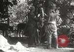 Image of Japanese veterinarian Philippines, 1942, second 41 stock footage video 65675062385