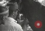 Image of Japanese veterinarian Philippines, 1942, second 47 stock footage video 65675062385