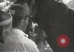 Image of Japanese veterinarian Philippines, 1942, second 48 stock footage video 65675062385