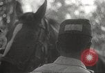 Image of Japanese veterinarian Philippines, 1942, second 49 stock footage video 65675062385