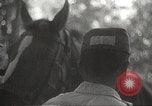 Image of Japanese veterinarian Philippines, 1942, second 50 stock footage video 65675062385