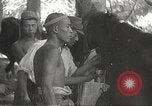 Image of Japanese veterinarian Philippines, 1942, second 54 stock footage video 65675062385
